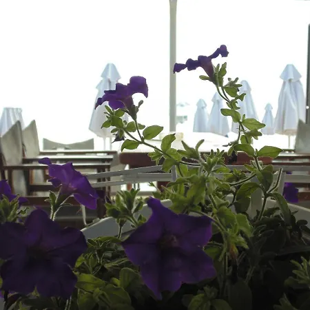 Ouzouni Boutique Bungalows Apartament *